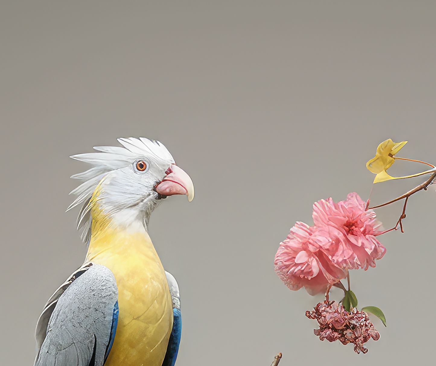 Ikebana 003