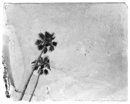 Palm Springs