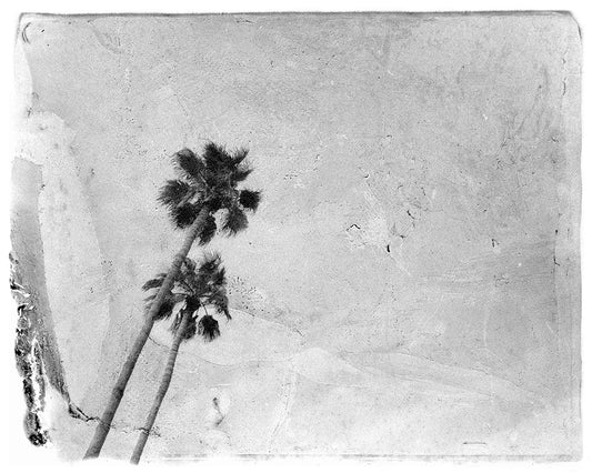 Palm Springs